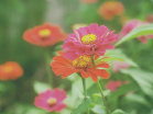 massage_therapy_nj_website011001.jpg